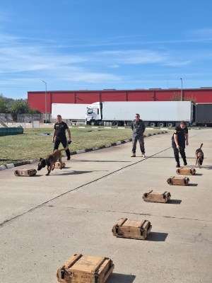 Şapte echipe canine ucrainene s-au pregătit în România